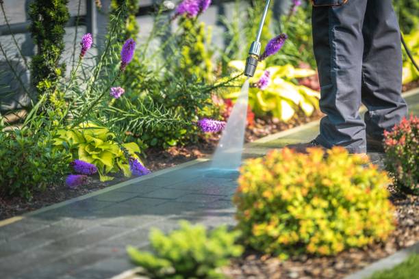 Best Spring Cleaning  in Coopersville, MI
