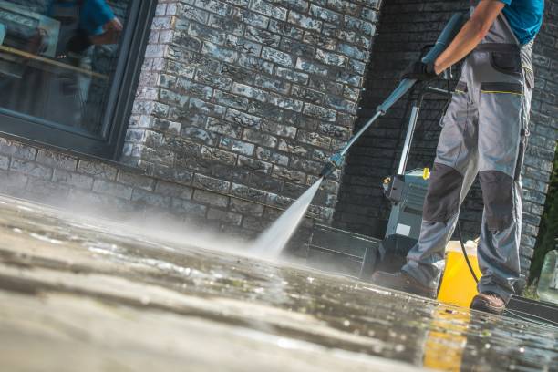 Best Animal Enclosure Cleaning  in Coopersville, MI